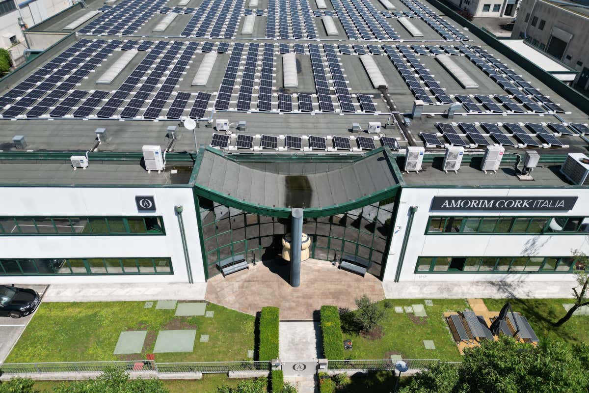 L'azienda ha venduto, nel solo 2023, 633 milioni di tappi in sughero a 3.700 cantine Bilancio 2023 Amorim cresce: avanguardia tecnologia sostenibilit&agrave; e welfare